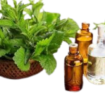 Mahamesh_Oil-removebg-preview