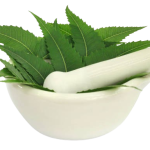 Neem
